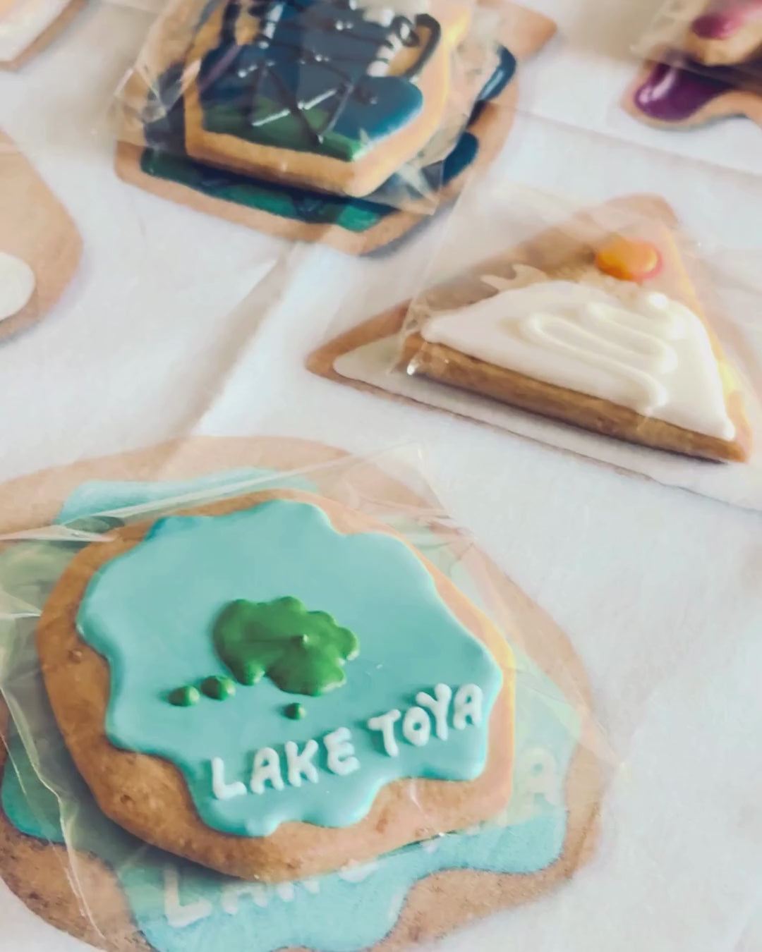 cookies on a handkerchief